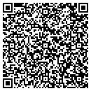 QR code with Pt Development Corp contacts