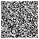 QR code with Cape Vincent Library contacts