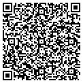 QR code with Video Gallery contacts