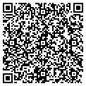 QR code with Lightup Co The contacts