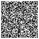 QR code with Catskill Valley Pool Co contacts