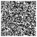 QR code with Projecto Osy contacts