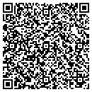 QR code with Cape Town Consulting contacts