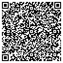QR code with Blue Crow Consulting contacts