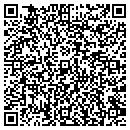 QR code with Central NY Dso contacts