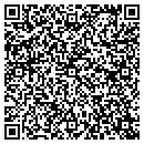 QR code with Castlerock Recovery contacts