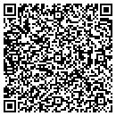 QR code with Public Works contacts