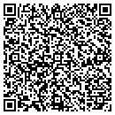 QR code with Capital District DSO contacts