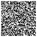 QR code with Cobra Systems Inc contacts
