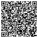 QR code with AMF contacts