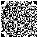 QR code with Carrione Mechanical contacts