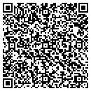QR code with Publix Self Storage contacts