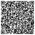QR code with Pullano Windows & Doors contacts