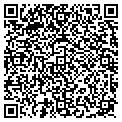 QR code with Istep contacts
