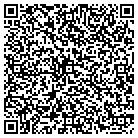 QR code with Blindtek Designer Systems contacts