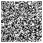 QR code with Pulse Entertainment contacts