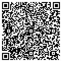 QR code with Iggy's contacts