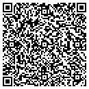 QR code with Pristine Electric Inc contacts