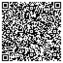 QR code with Pullano Assoc contacts