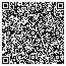 QR code with PS Carriers contacts
