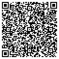 QR code with Ironwood Furniture contacts