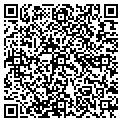 QR code with Q Soft contacts