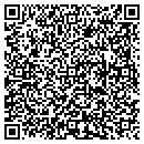 QR code with Custom Auto Cleaning contacts