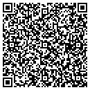 QR code with Capture It On Video contacts