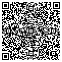 QR code with Pothos contacts