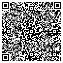 QR code with Public Abstract Corp contacts