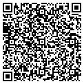 QR code with Begin contacts