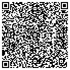QR code with Blaine R Burlingame Inc contacts