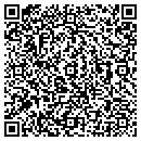 QR code with Pumping Iron contacts