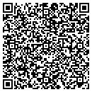 QR code with Pro-Techs Audo contacts