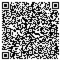 QR code with Yicg contacts