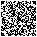 QR code with Clean All of Wny Inc contacts