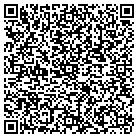 QR code with Pullano Family Dentistry contacts