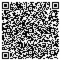 QR code with Regata contacts