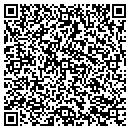 QR code with Collins Town Assessor contacts