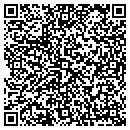 QR code with Caribbean Yards Inc contacts