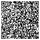 QR code with Carusone & Carusone contacts