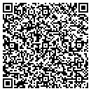 QR code with Public Abstract Corp contacts