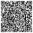 QR code with Public Works contacts