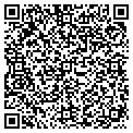 QR code with Dig contacts