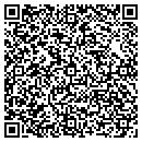 QR code with Cairo Public Library contacts
