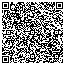 QR code with Precision Mechanical contacts