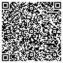 QR code with Precision Silkscreen contacts