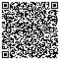 QR code with Pagoda contacts