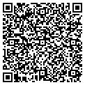 QR code with Signami contacts