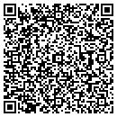 QR code with Procida Tile contacts